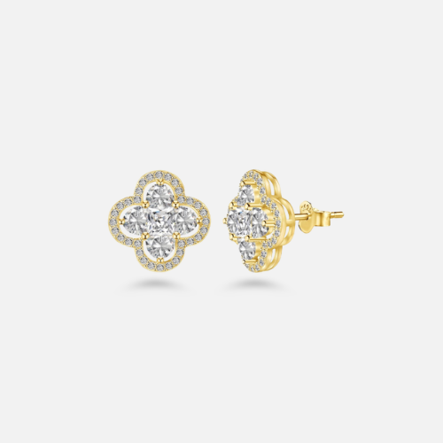 Étoiles Enchantées